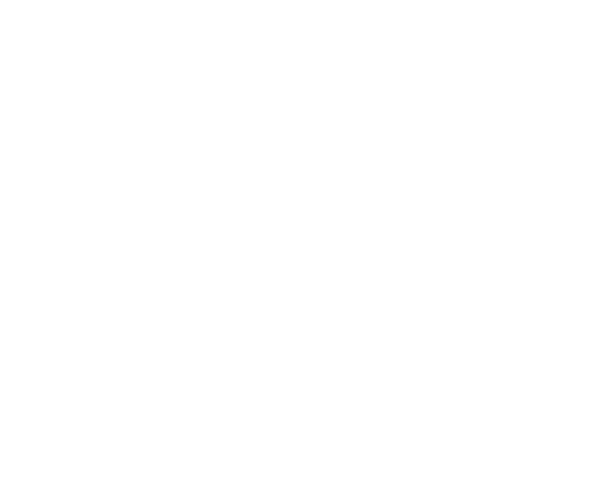 Lyall Bay Surf Cam Logo